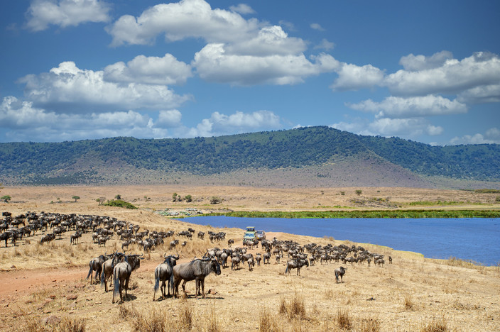 Visite du parc national du Serengeti et du cratère du Ngorongoro.