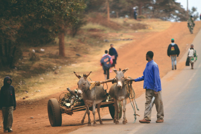 Transfert aéroport et jour de repos à Arusha