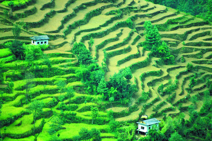 Ilam: découverte de la région de Kanyam