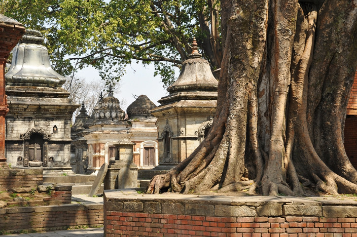 Katmandou à Nagarkot (en passant par Patan, Pashupatinath et Boudhanath)