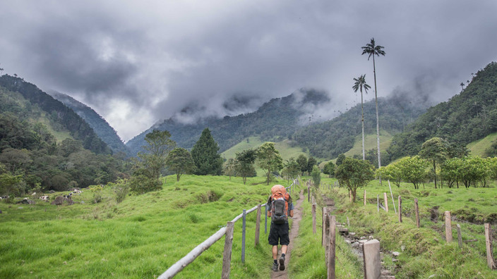 Excursion dans la vallée de Cocora