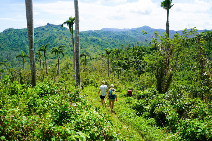 En plein cœur de El Yunque