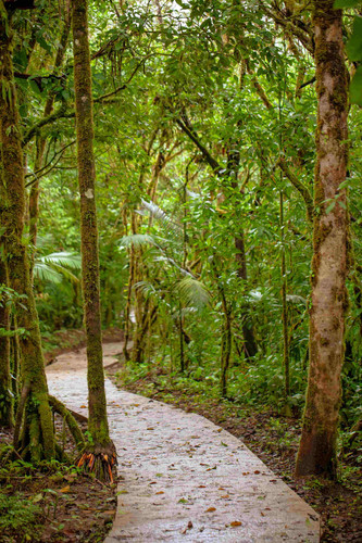 Réserve Monteverde