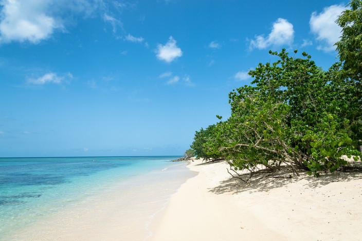 Plages et falaises à Port Louis et Anse Bertrand
