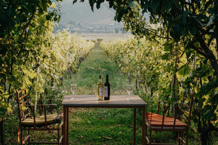 Jour 10 – The Barrels – Un refuge insolite au cœur des vignobles