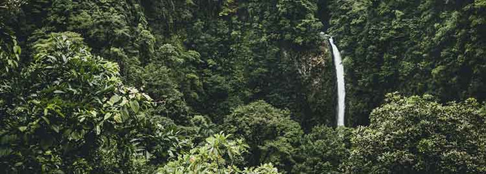Visite des canaux de Tortuguero et vol à La Fortuna