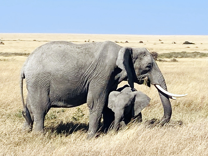 Arusha Town – Tarangire NP - FB