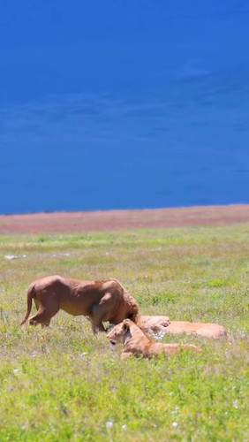 Área de Conservación de Ngorongoro