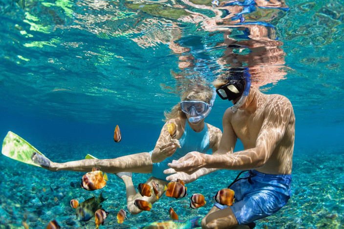 Explore a Ilha Dimaniyat com snorkeling (base compartilhada)