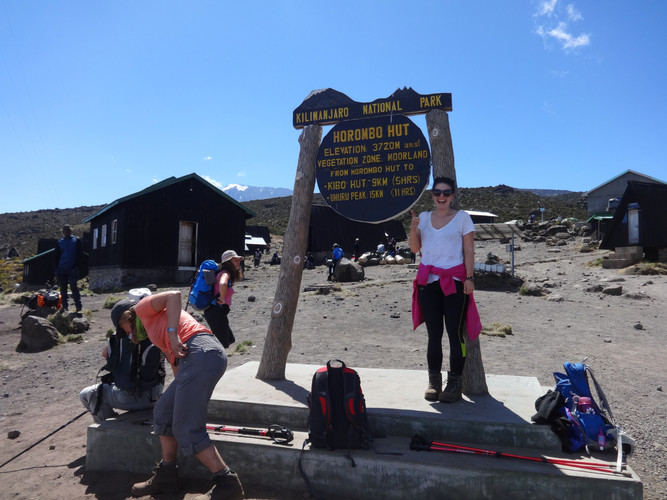 Mandara Hut (2,700 m) – Horombo Hut (3,700 m)
