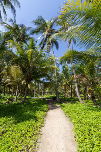 Départ pour le parc Tayrona