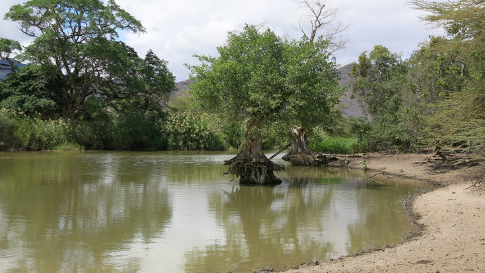 Parc national du lac Manyara-Arusha