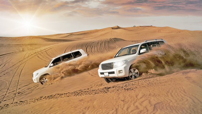 Free Morning & Thrilling Desert Safari with Barbecue Dinner 🏙️🌵🔥