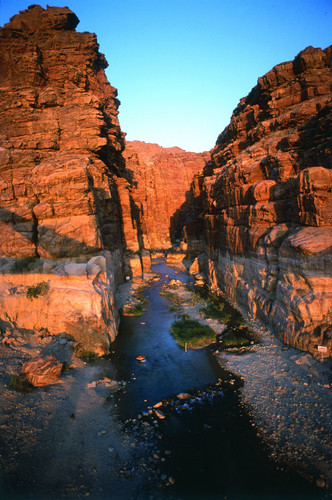 DANA - CHATEAU DE SHOBAK - PETITE PETRA - PETRA