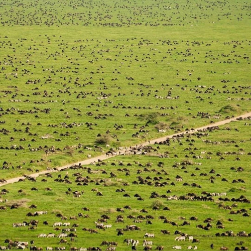 Serengeti National Park