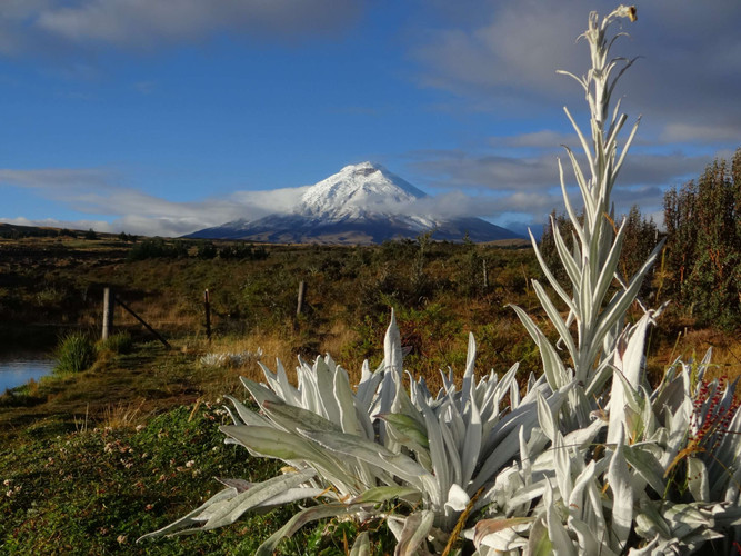 Le majestueux Cotopaxi