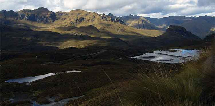 Visite du Parc Cajas et départ pour Guayaquil