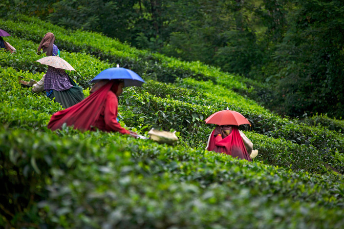 Munnar