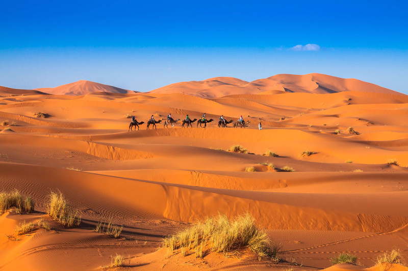 Oasis de Tiraf - Erg Sahel