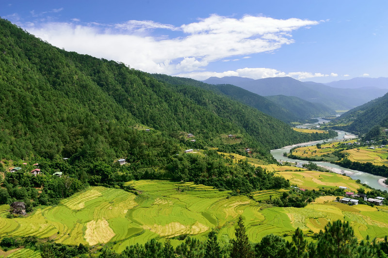 Vallée de Phobjikha - Punakha