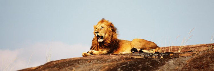 PARC NATIONAL DU SERENGETI
