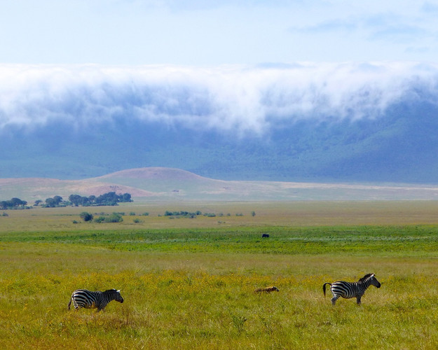 Karatu - Ngorongoro