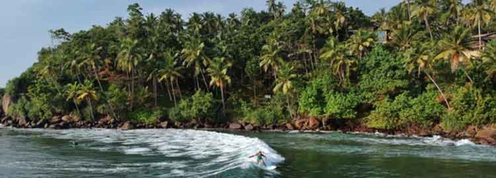 Observation des baleines à Mirissa