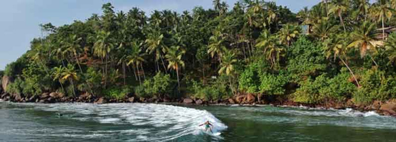 Observation des baleines à Mirissa