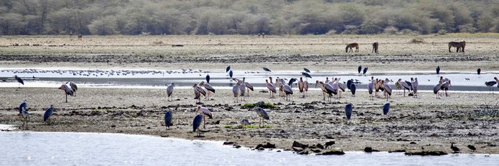 LAC MANYARA À ARUSHA