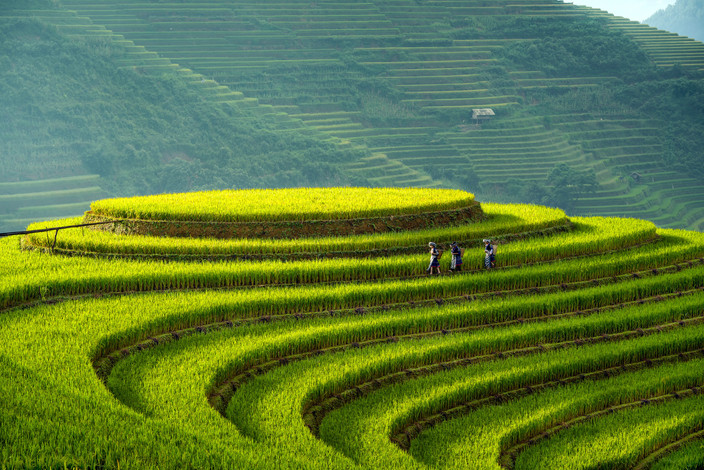 Nghia Lo - Mu Cang Chai