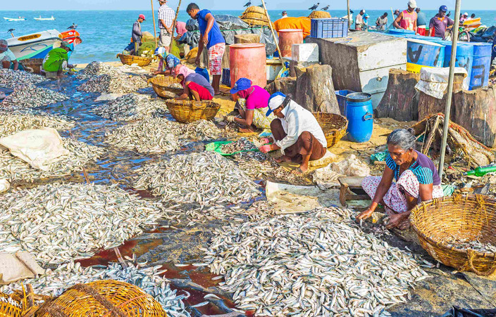Dernier jour au Sri Lanka