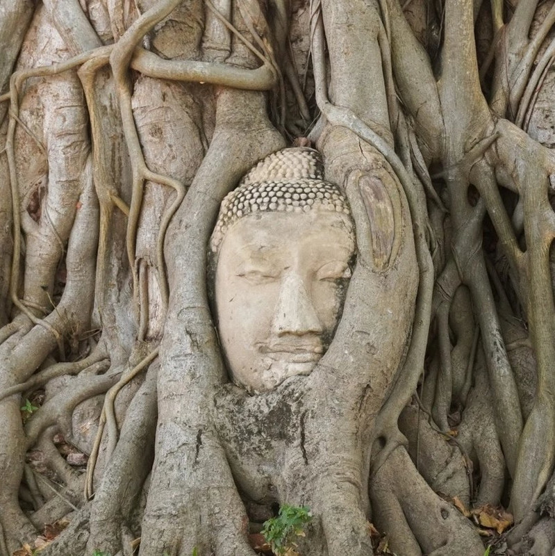 Wat Mahathat, Ayutthaya
