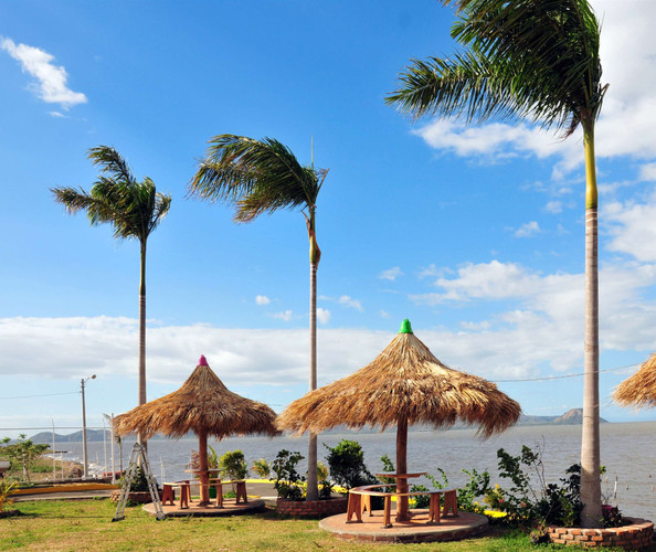 Plage, soleil et cocotiers