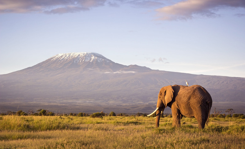 Jour d'arrivée et bienvenue en Tanzanie