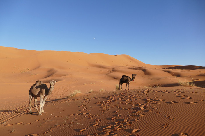 OUARZAZATE, LES GORGES DE TODRA, MERZOUGA, ERFOUD