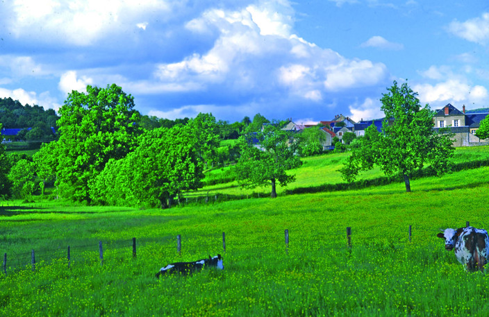 Arrivée sur les lieux