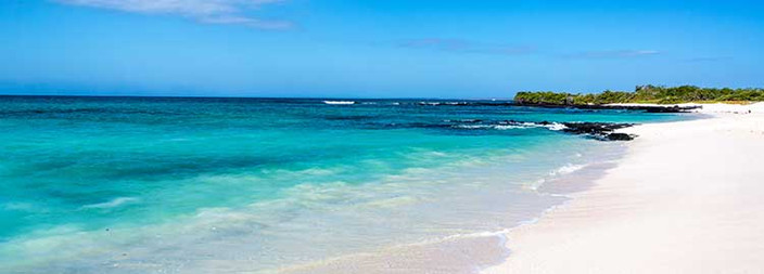 Vers la fin du séjour... aux Galapagos
