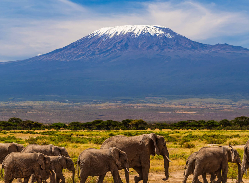 Arrivée à Arusha