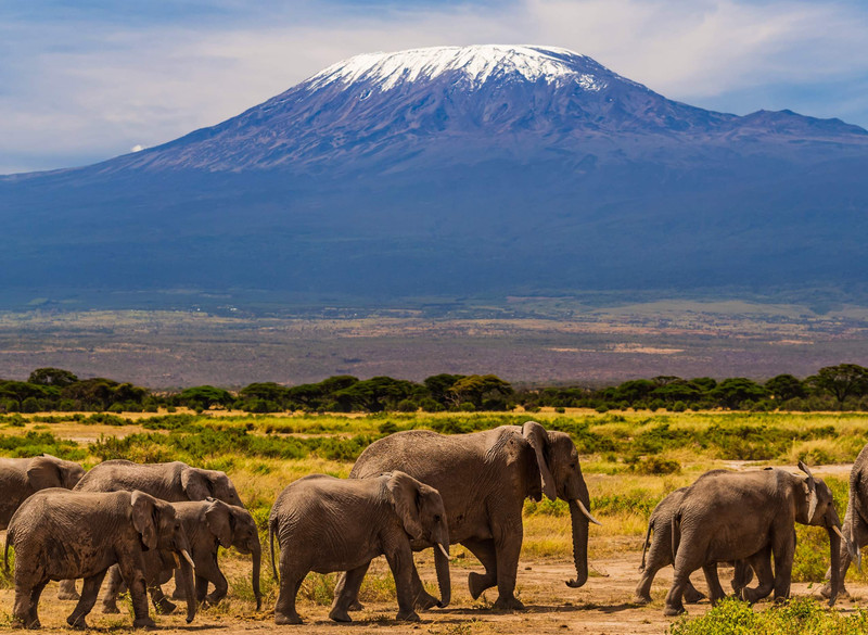 Parc National De Tarangire
