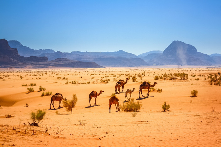 Le désert du Wadi Rum