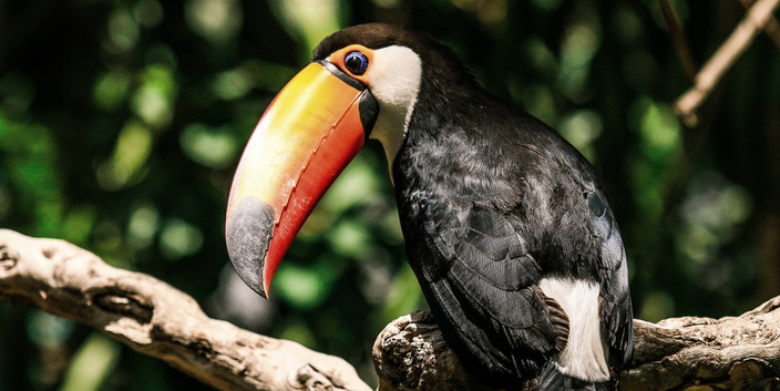 Rivière Kaka