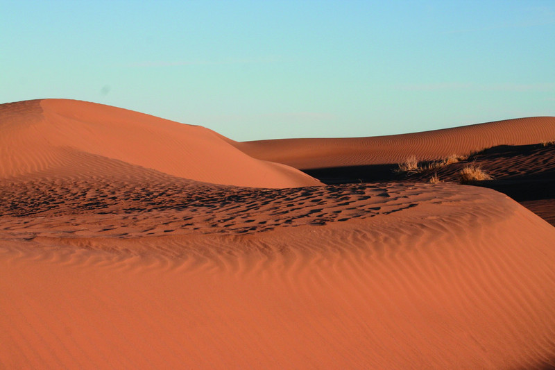 Bivouac sauvage dans les dunes de l'erg du Diable