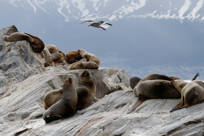 De Calafate à Ushuaia