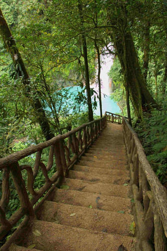 L'eau incroyablement bleue du Rio Celeste