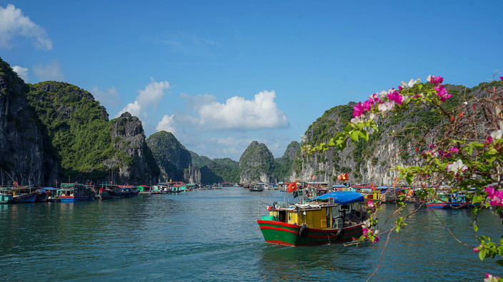 Jour 13 : Baie de Lan Ha, Ninh Binh