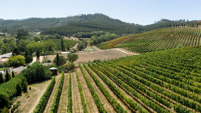 La route des vins vers la Napa Valley