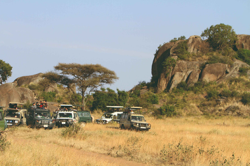 Arusha - Parc national du Tarangiré