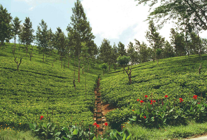 KANDY