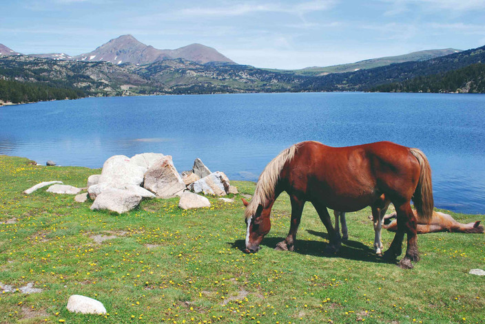 Lac des Bouillouses - Mont Llaret (2376 m)