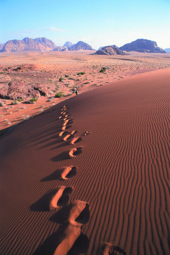 WADI RUM (BURDAH - WADI UM ISHREEN - ANFASHIEH - ALDISI)